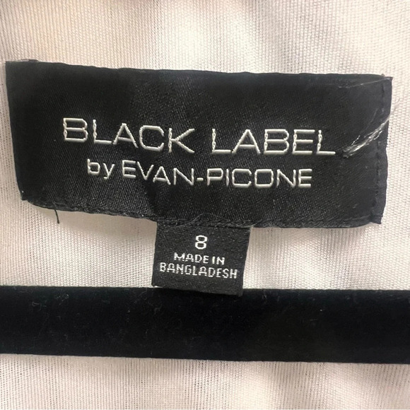 Black Label by Evan Picone Black & White Pleated Fit & Flare Dress Size 8 - Picture 5 of 13